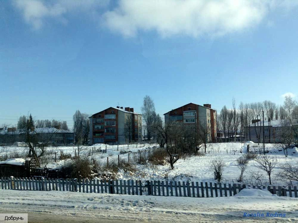 Брянский район