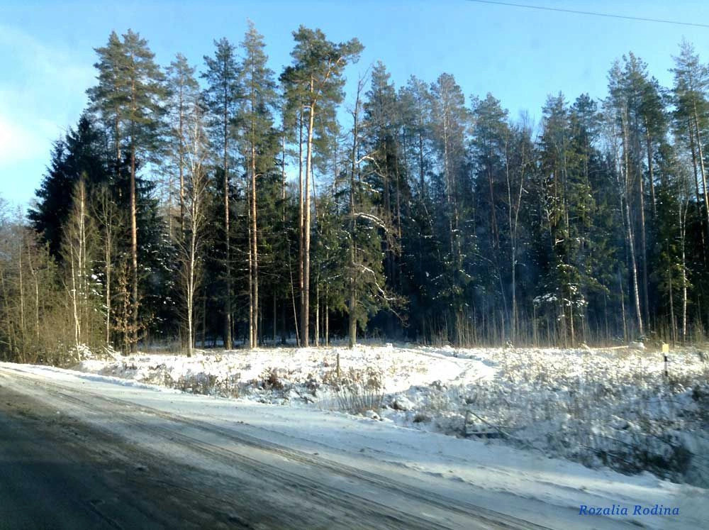 Брянский район