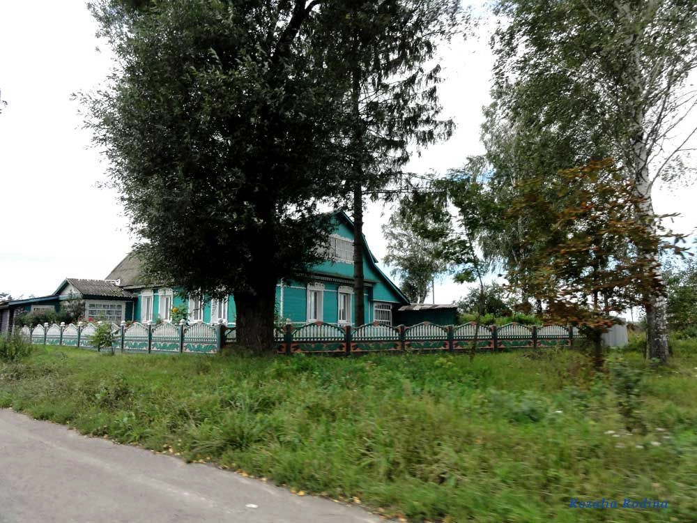 Выгоничский район
