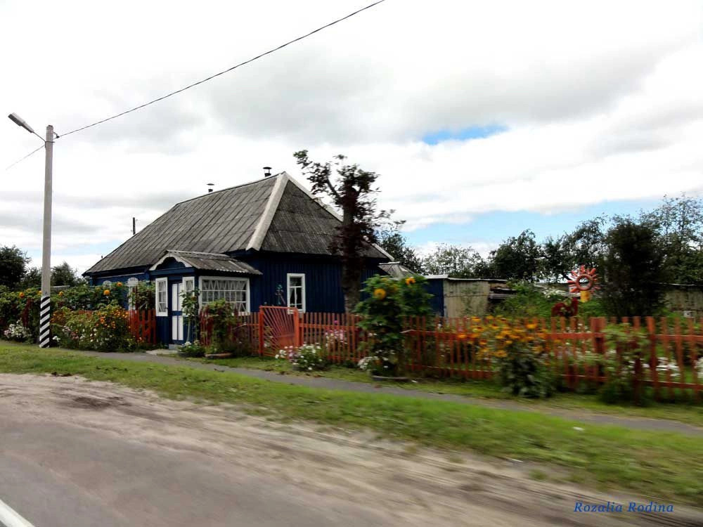 Выгоничский район
