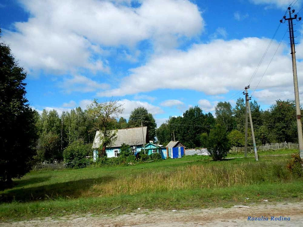 Выгоничский район