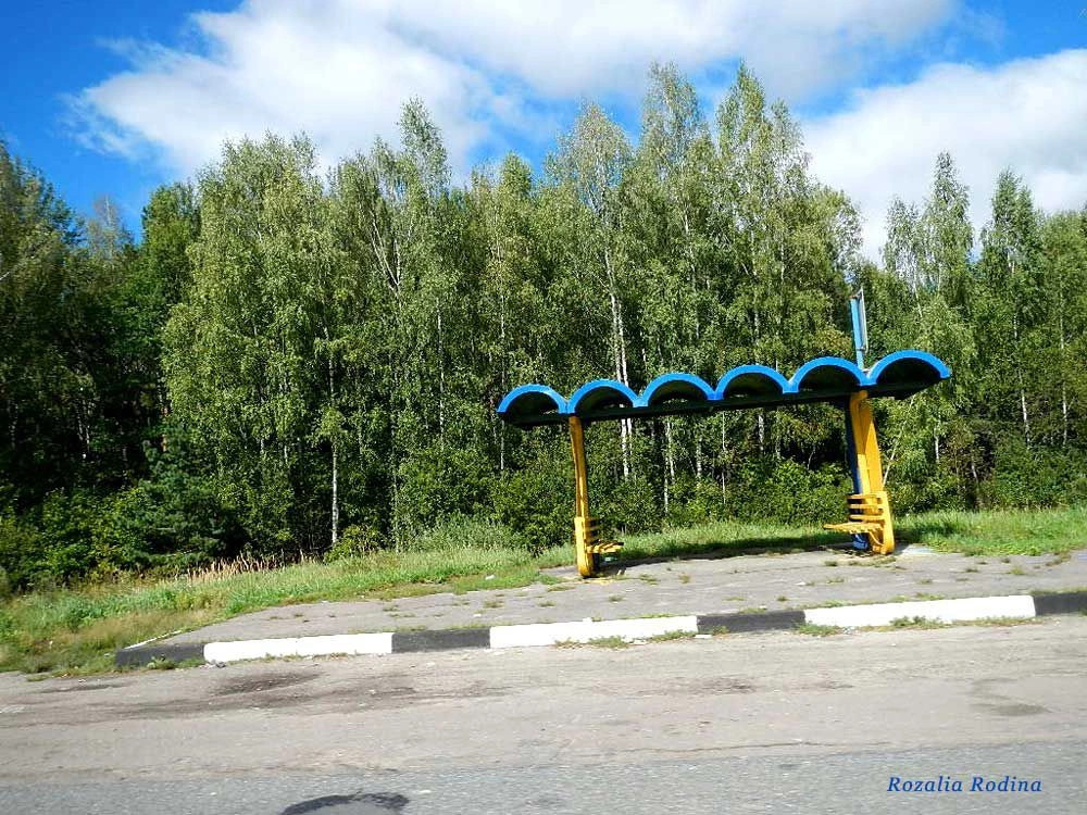 Выгоничский район