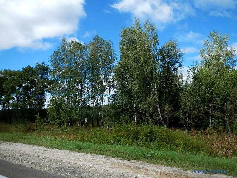 Выгоничский район