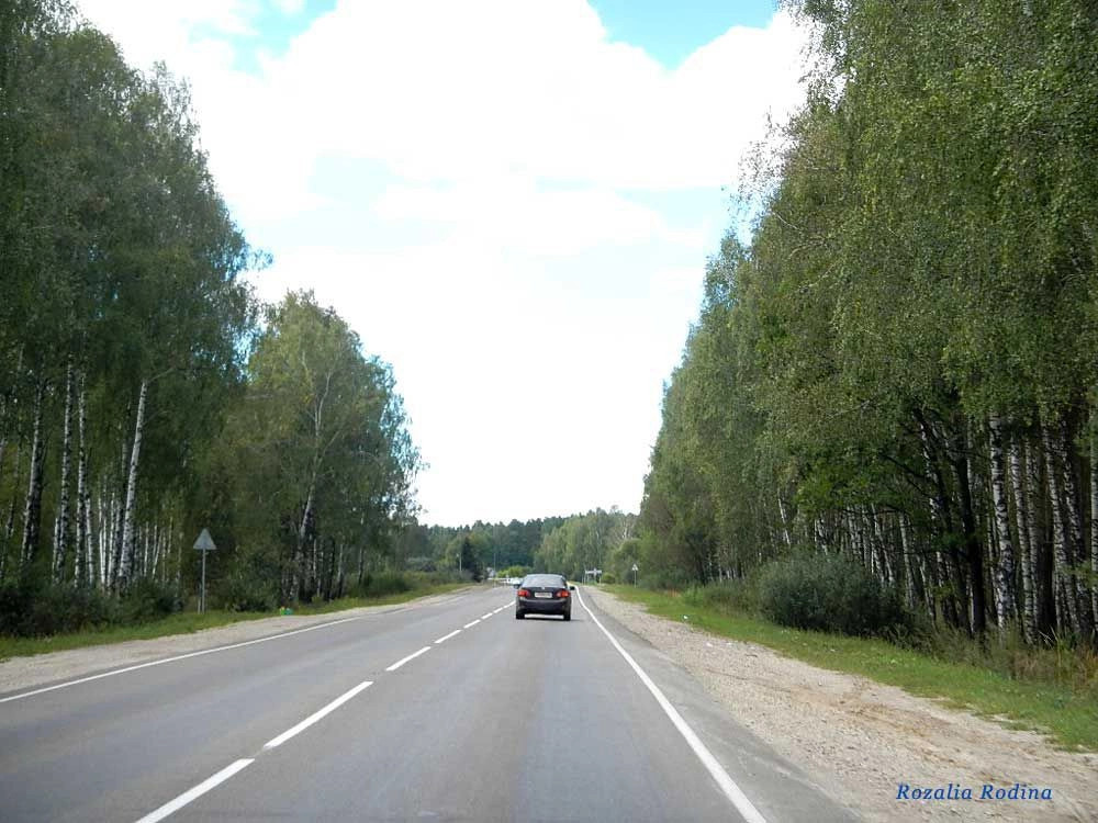 Выгоничский район