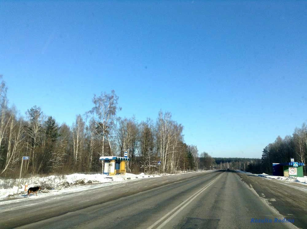 Выгоничский район