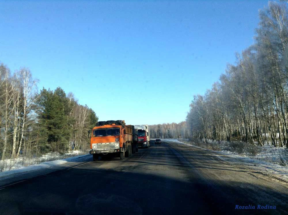 Выгоничский район
