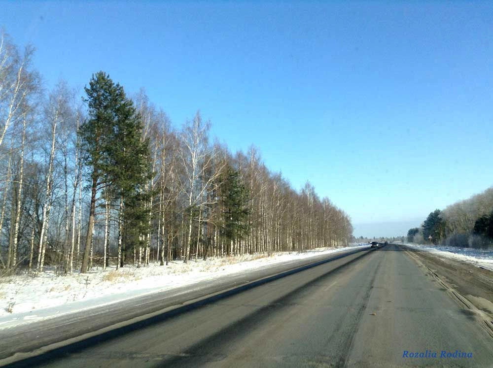 Выгоничский район