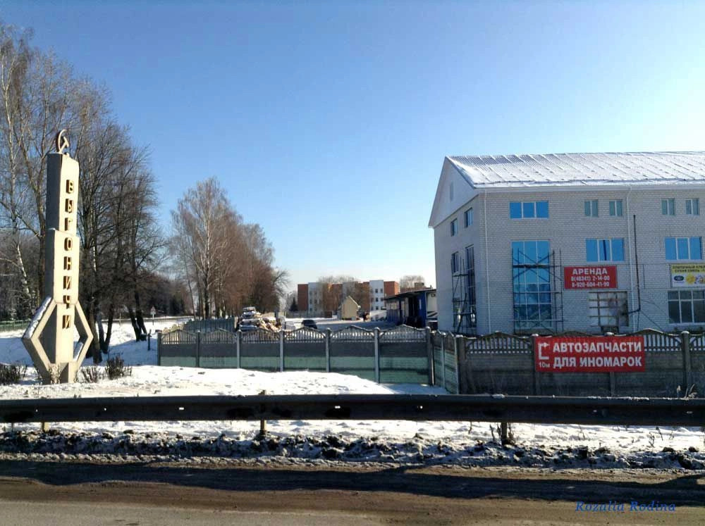 Выгоничский район
