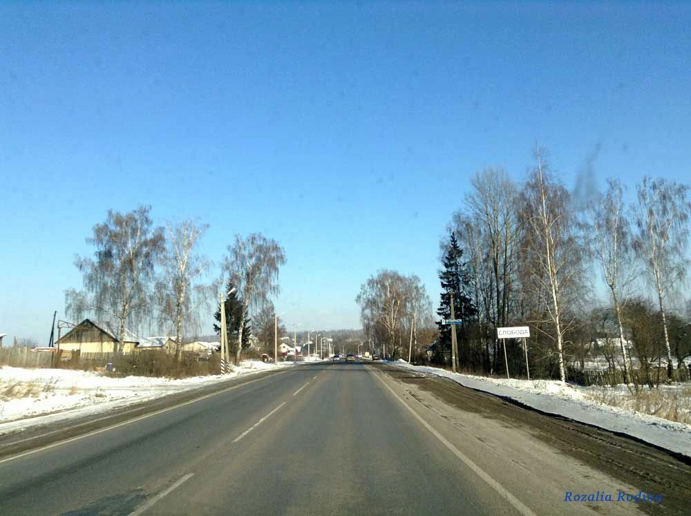 Выгоничский район