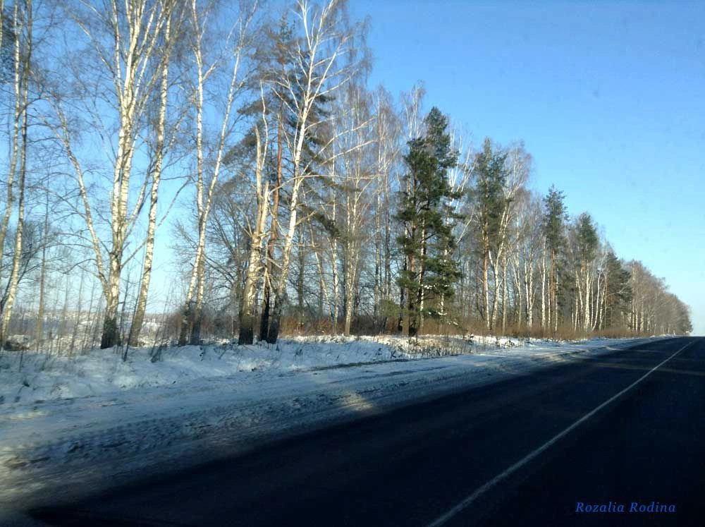 Выгоничский район