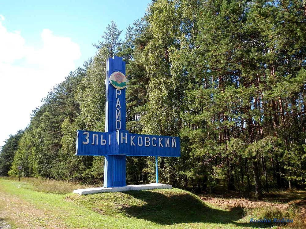 Злынковский район