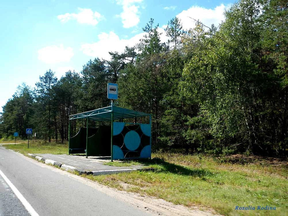 Злынковский район