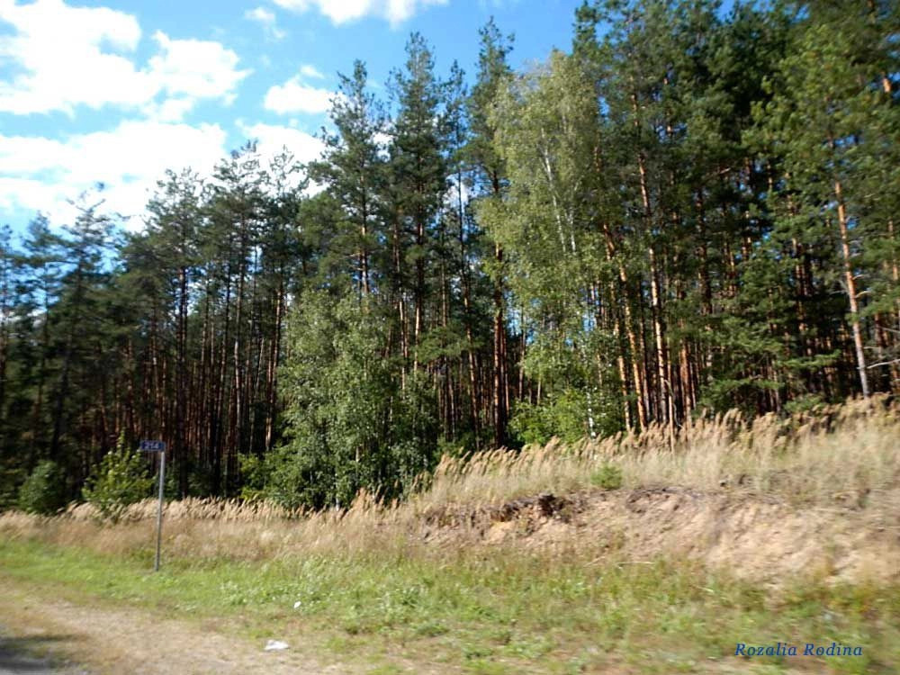 Злынковский район