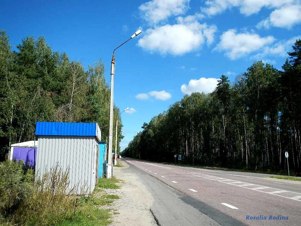 Злынковский район