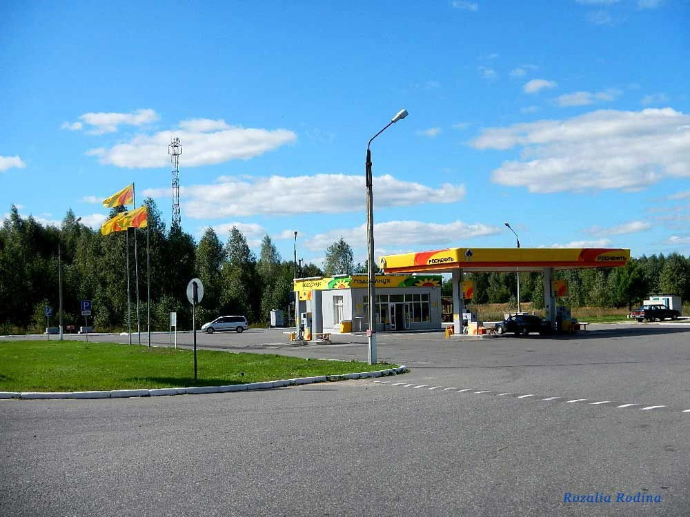 Злынковский район
