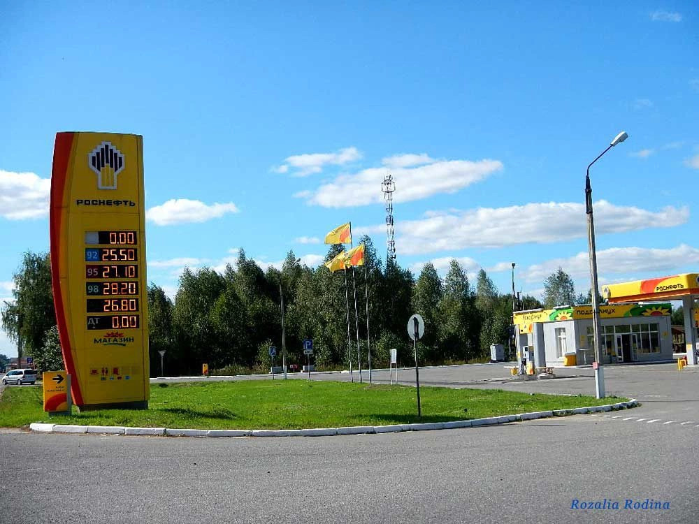 Злынковский район
