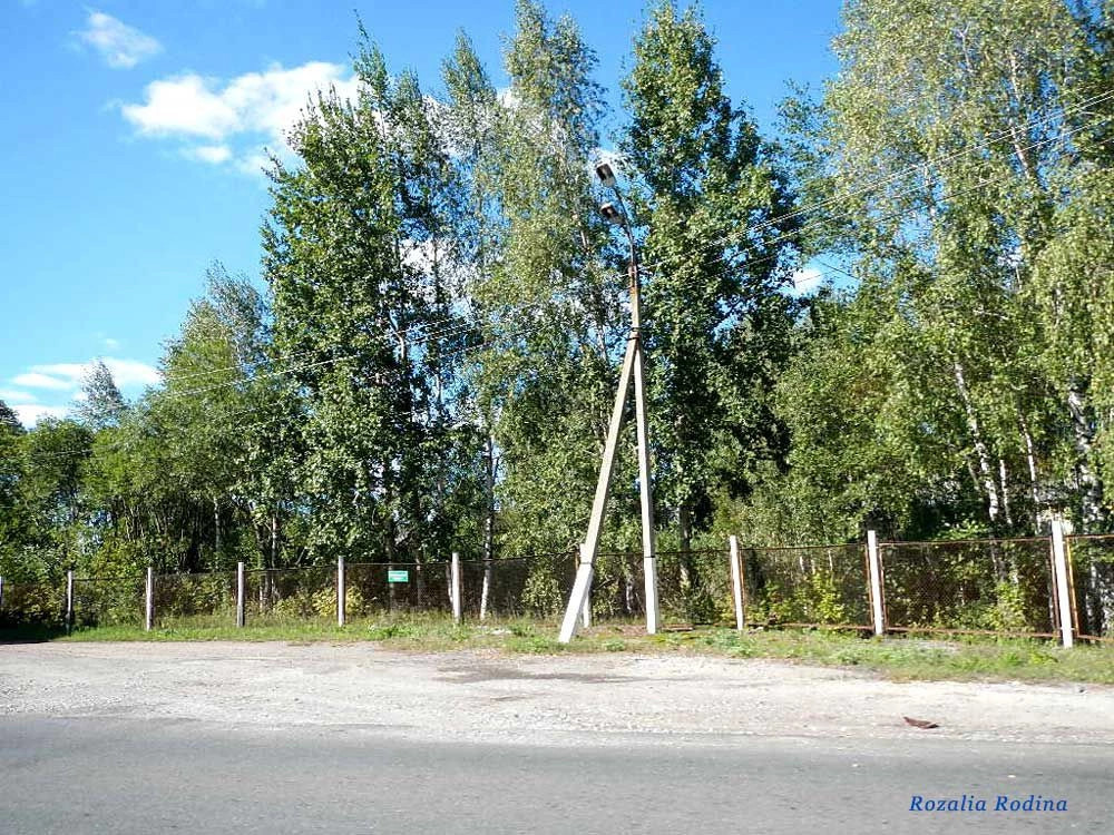 Злынковский район