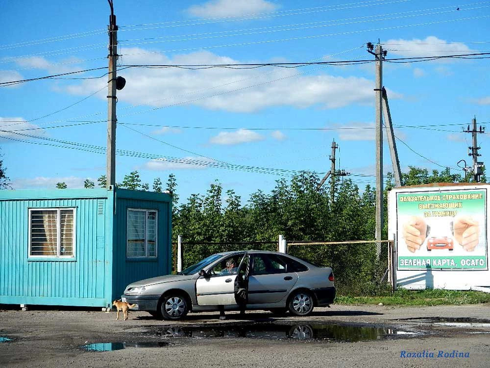 Злынковский район