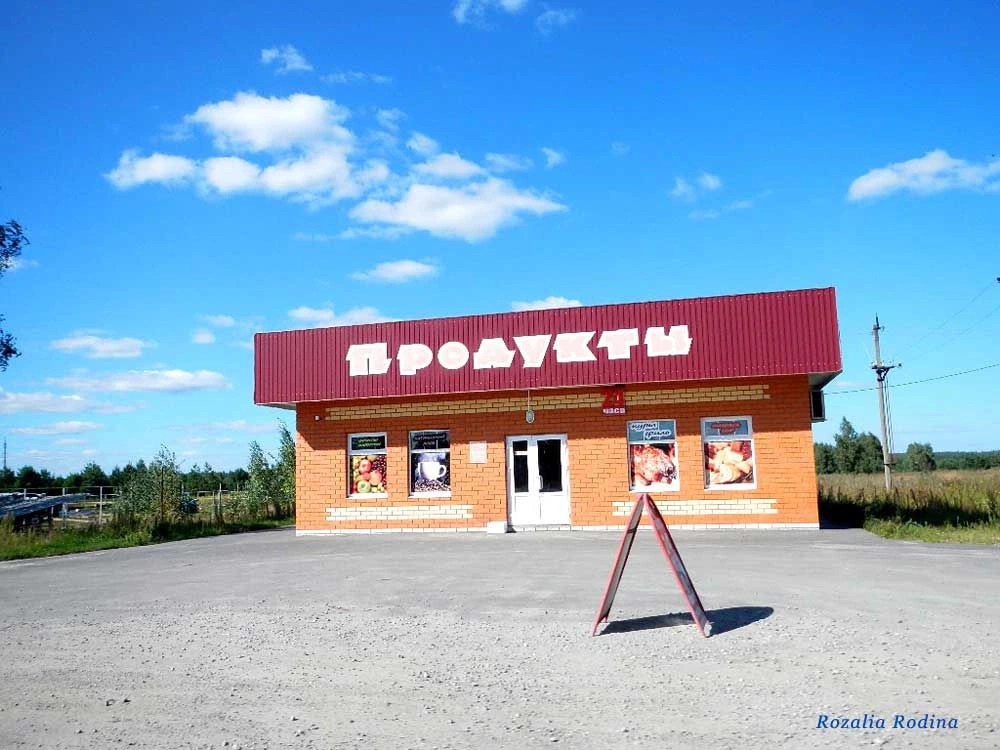Злынковский район