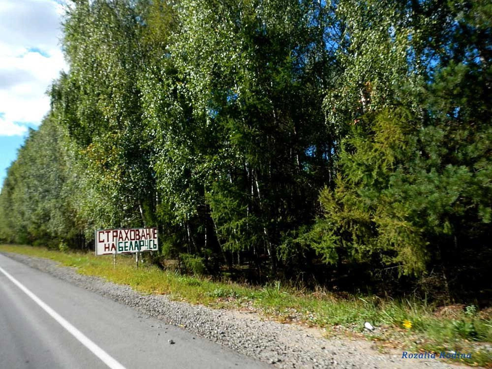 Злынковский район