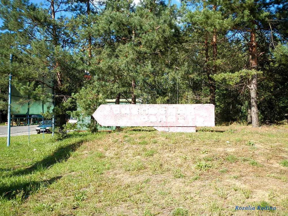 Злынковский район