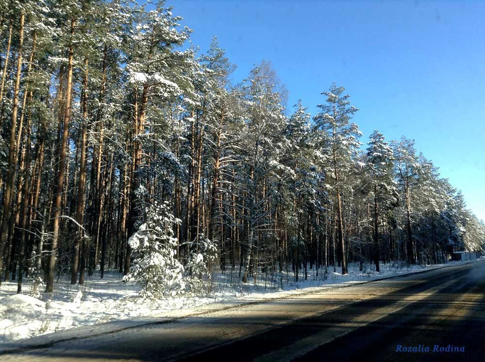 Злынковский район