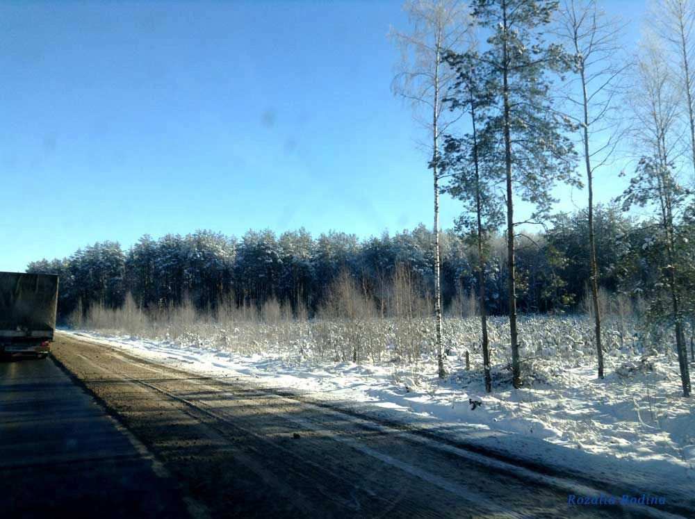 Злынковский район