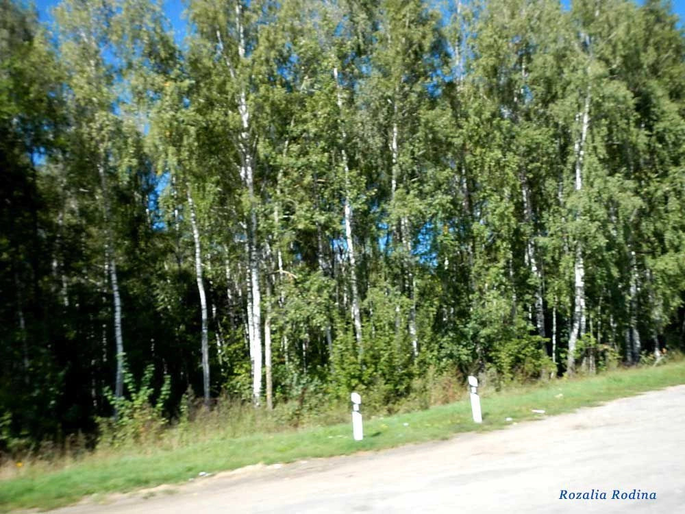Клинцовский район