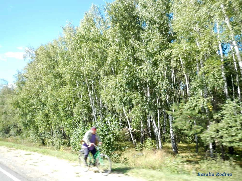 Клинцовский район