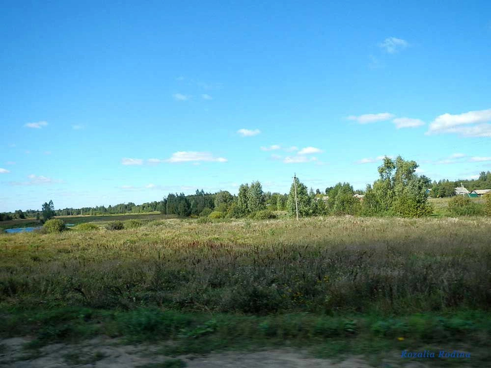 Клинцовский район