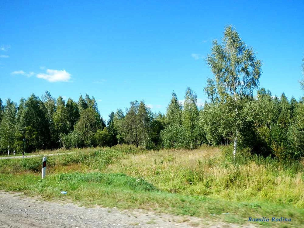 Клинцовский район