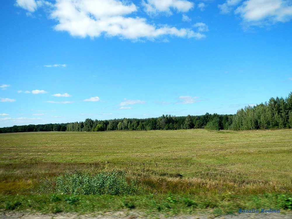 Клинцовский район