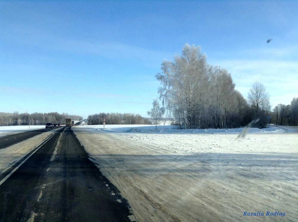 Новозыбковский район