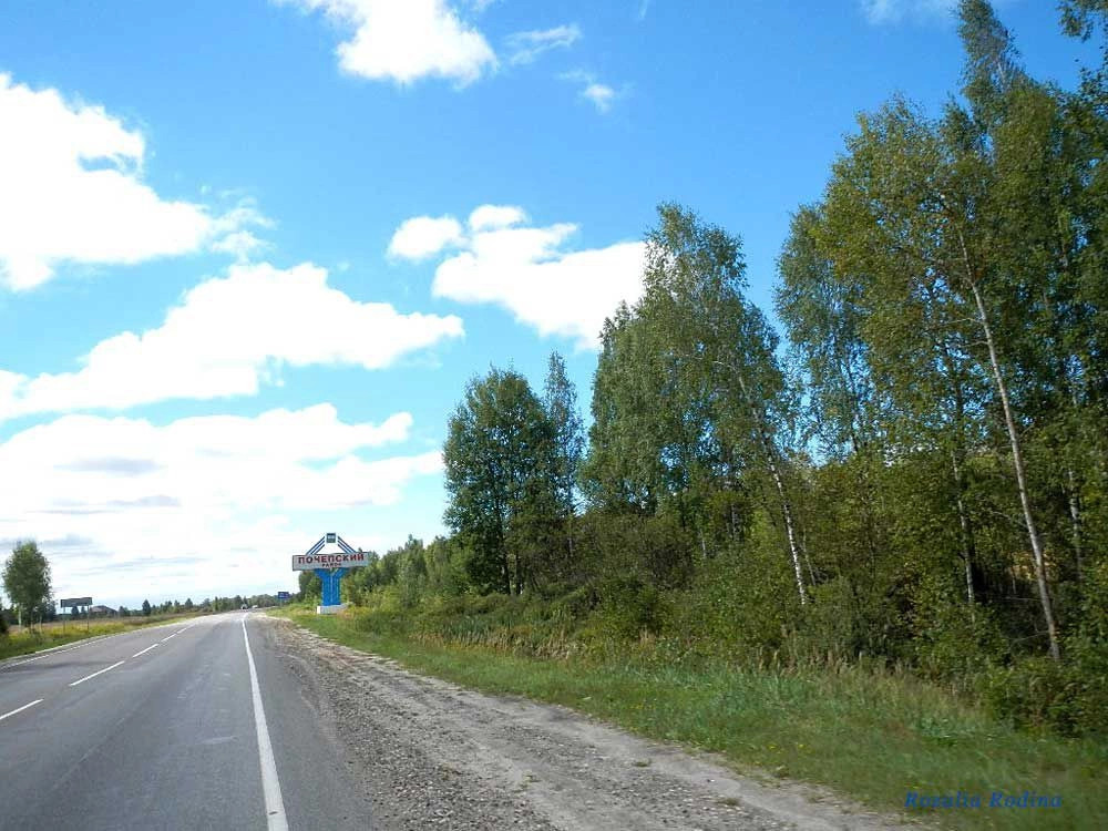 Почепский район