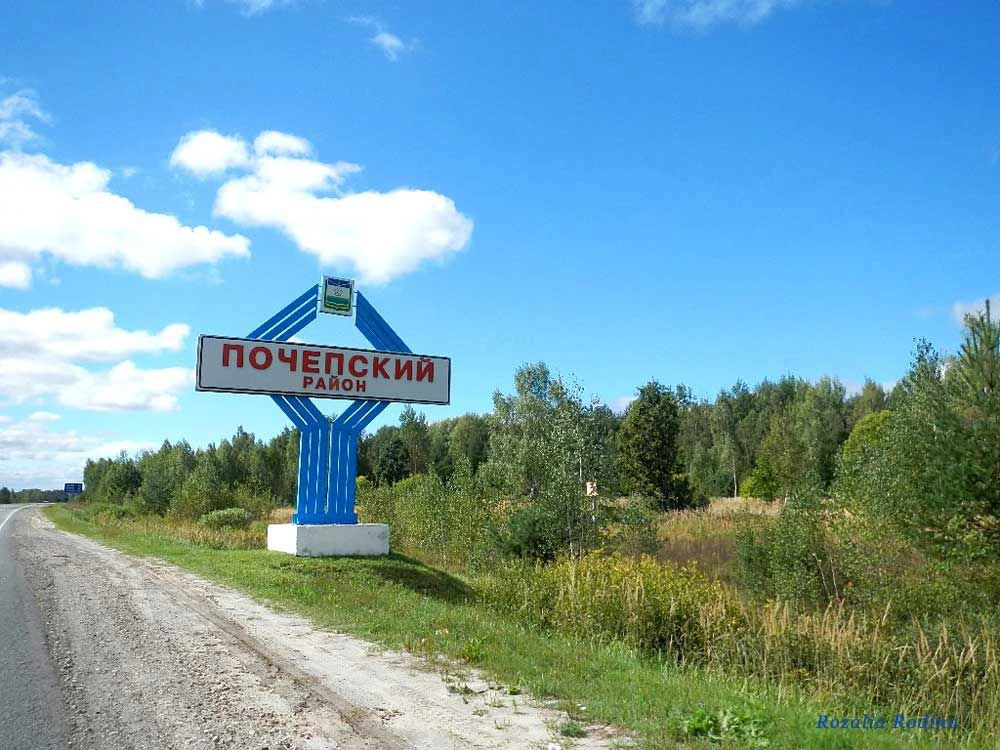 Почепский район