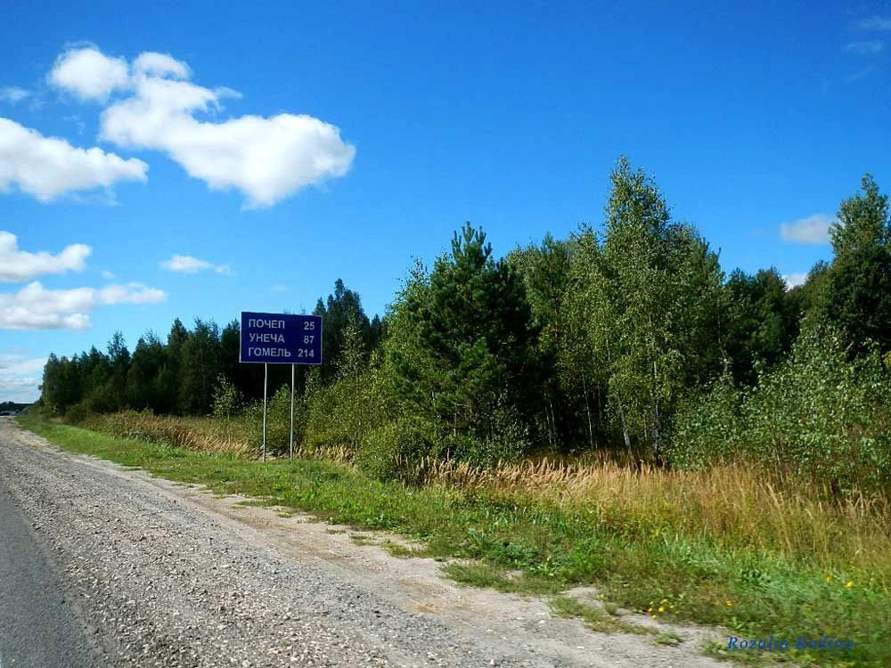 Почепский район