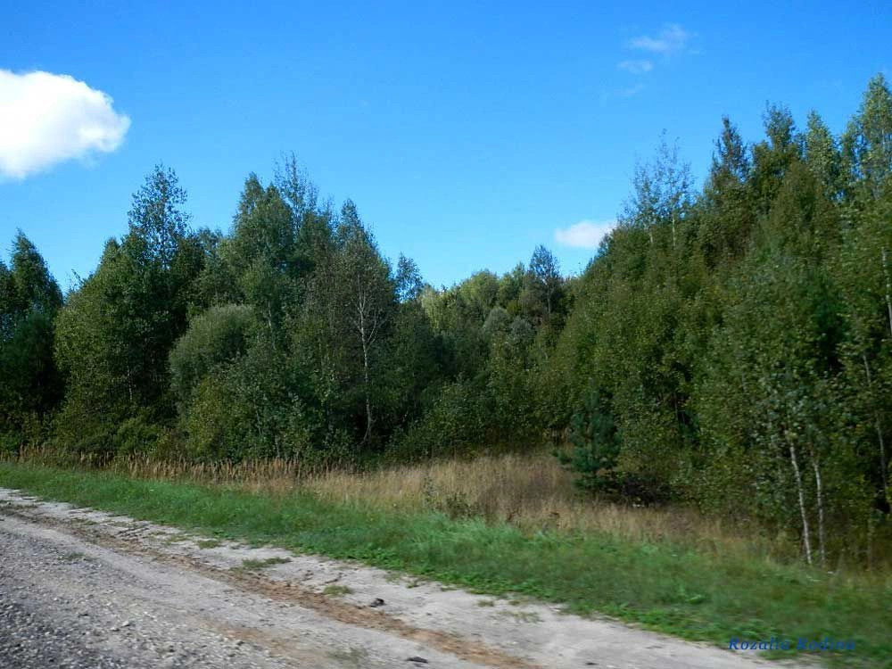 Почепский район