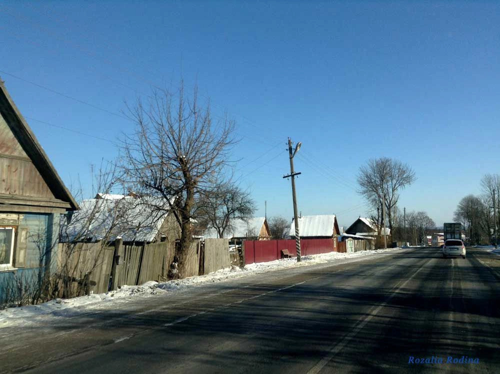 Почепский район