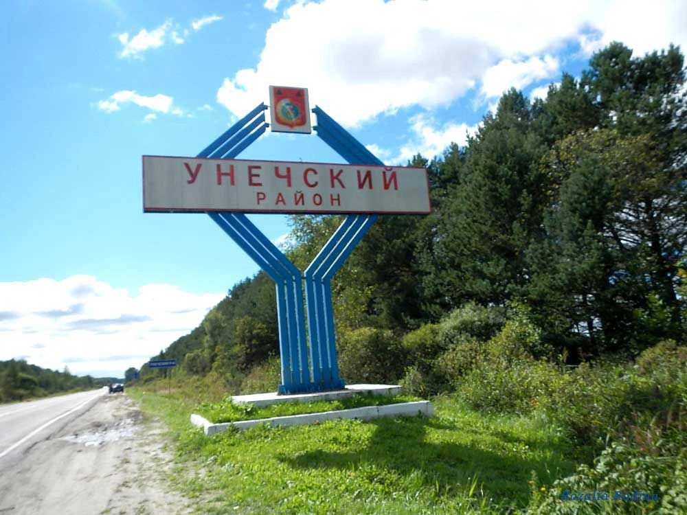 Унечский район