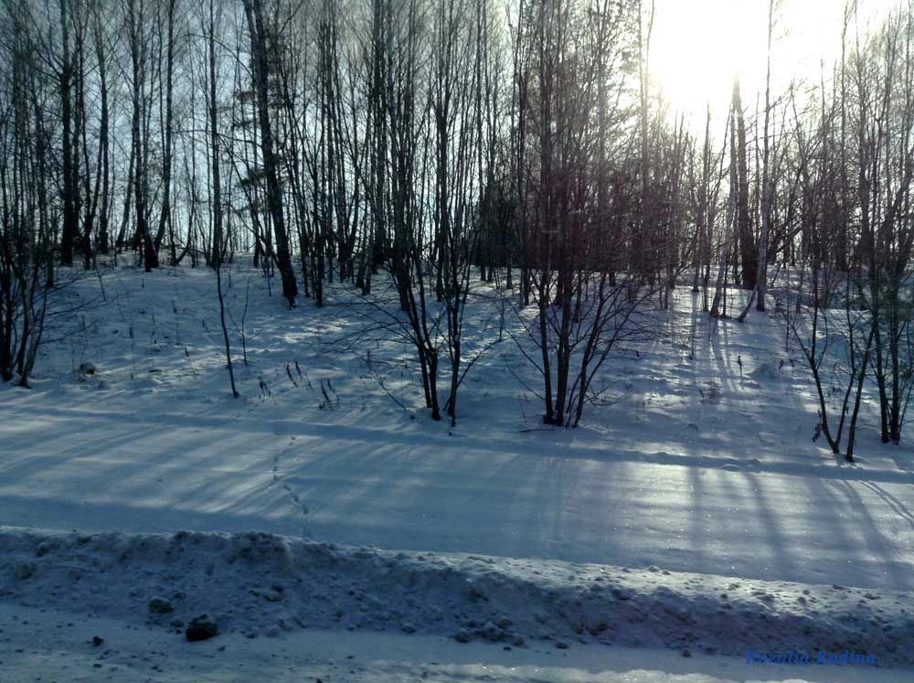 Унечский район