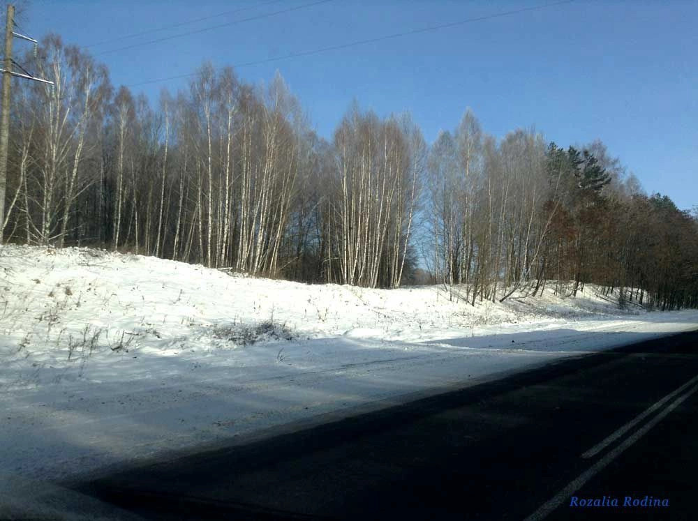 Унечский район