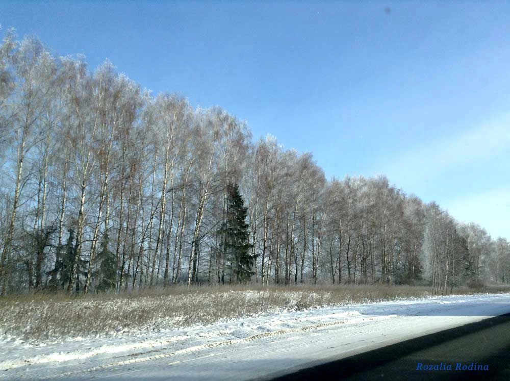 Унечский район