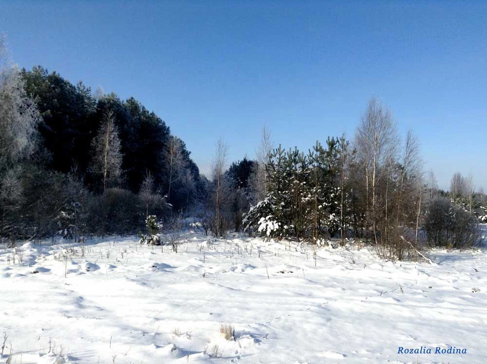 Унечский район