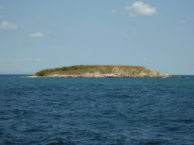 Аркутино
