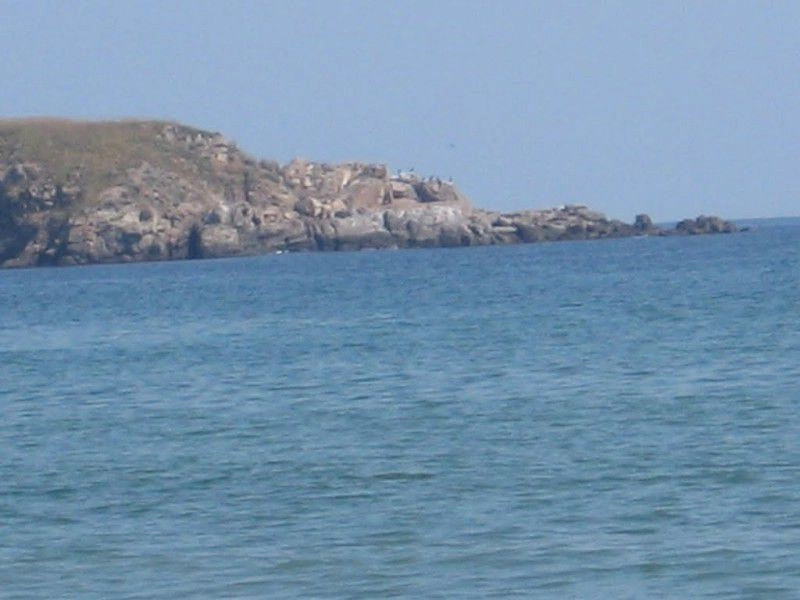 Аркутино