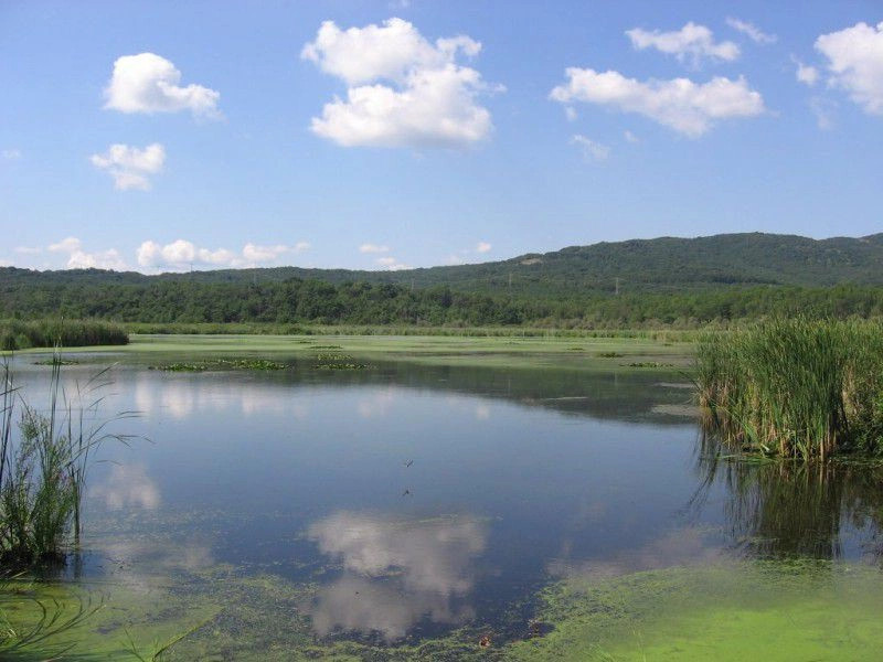 Аркутино