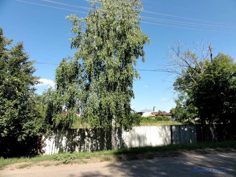 Козьмодемьянск город
