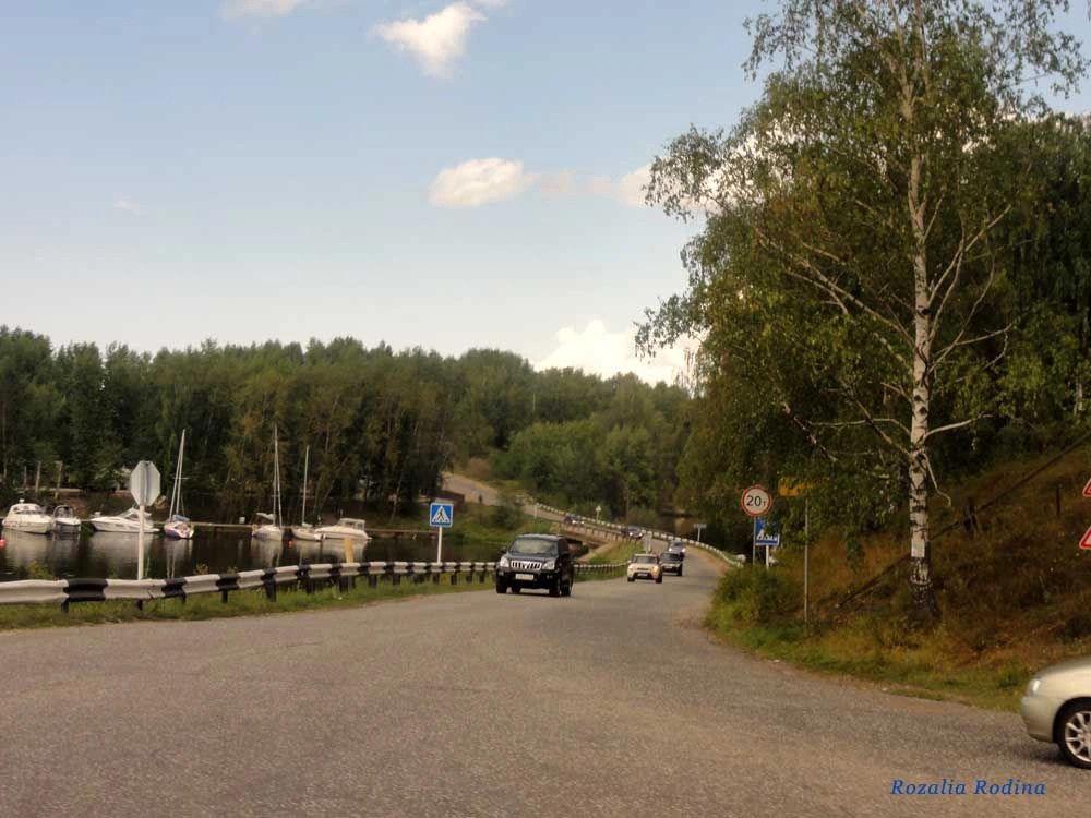 Городецкий район