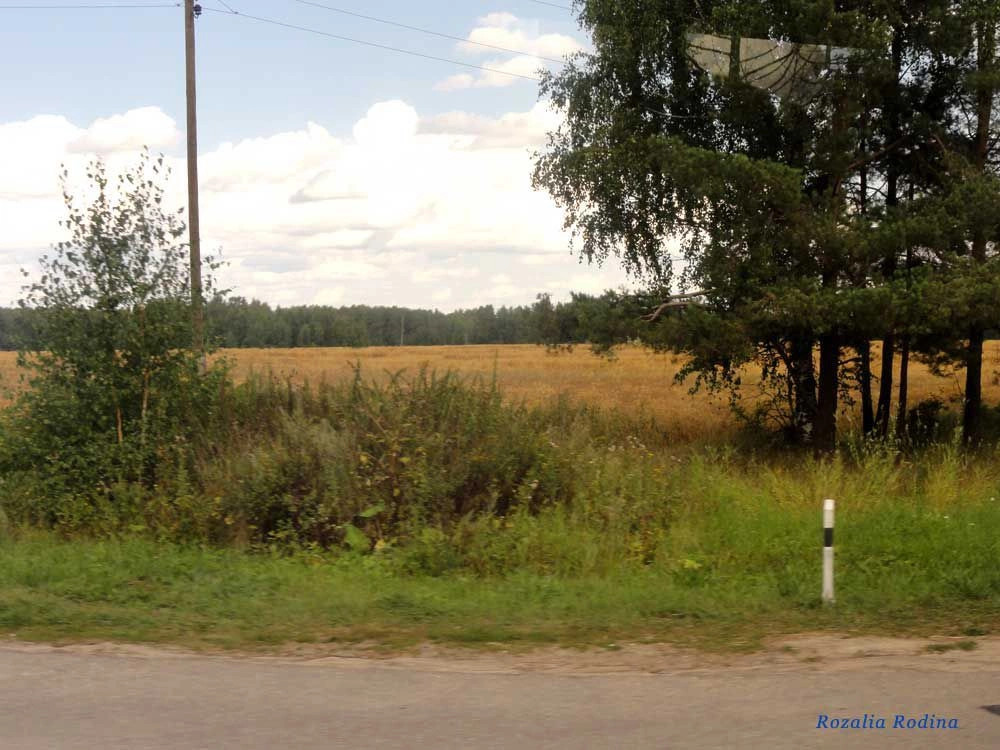 Городецкий район