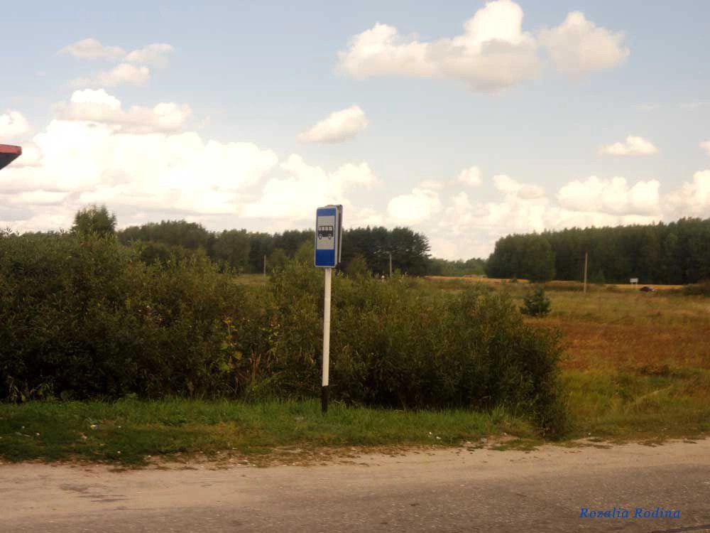 Городецкий район